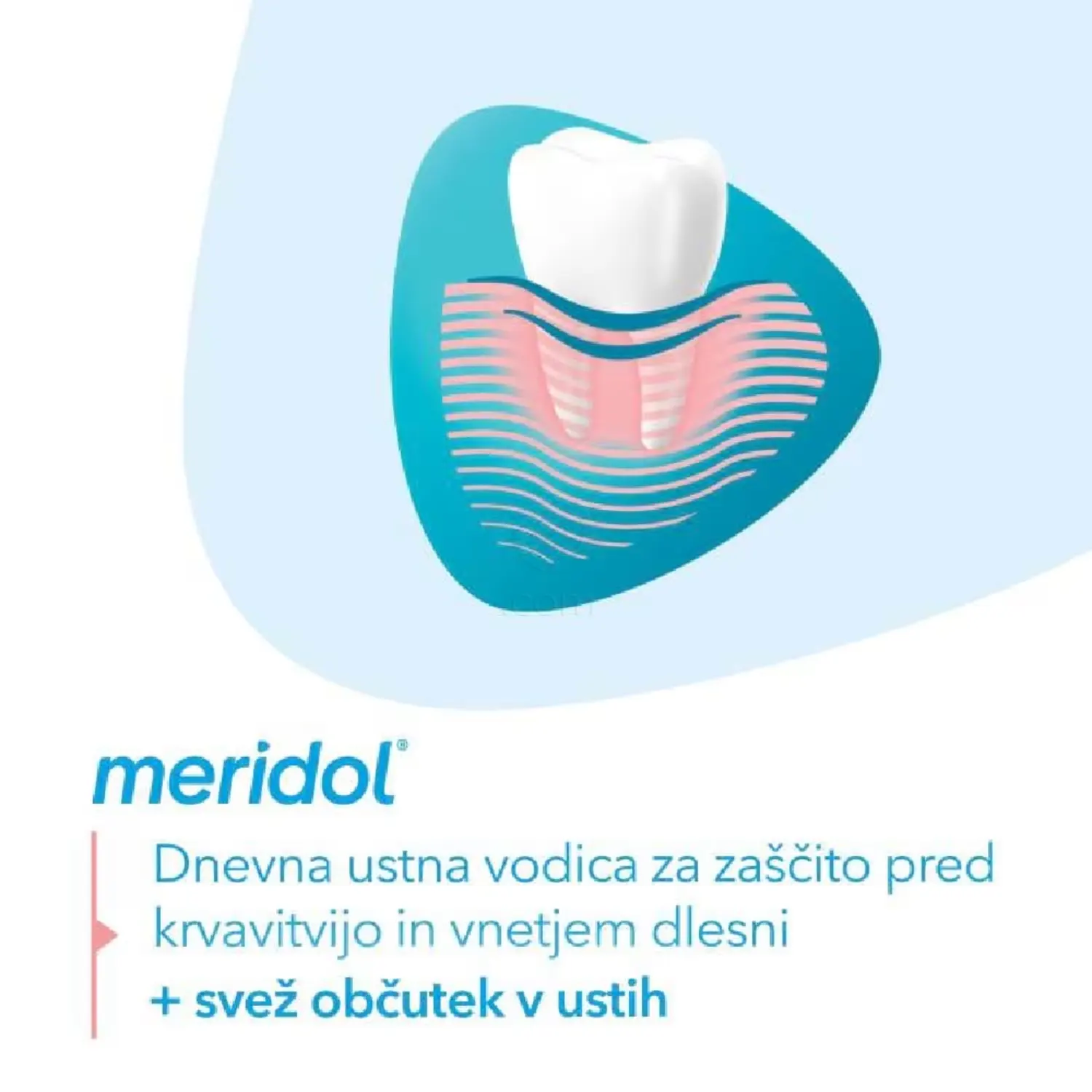 Meridol Gum Protection, ustna vodica za zaščito dlesni (400 ml)